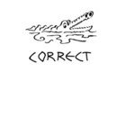 Correct (crocodile) A 26156