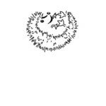 Playful Spike A 26120