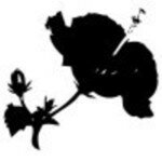 ANITA'S RUBBER ART STAMP HIBISCUS SILHOUETTE  26557
