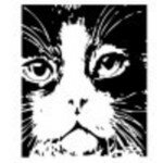 TABITHA CAT 26520