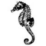 Sea Horse 26516