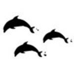 3 Dolphins 26522