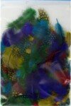 Luxury Assorted Colour Feathers