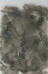 Luxury Natural Assorted Feathers