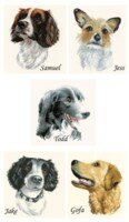 Dog Portraits
