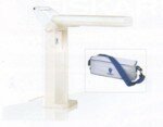 Classic Portable Lamp D33150