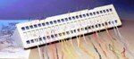Pako Needle Organizer
