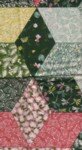 Applique 7