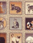 Cat 'Paw'traits.