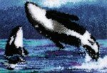 Orcas CC0101