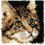 Tabby ARK543