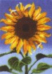 Garden Sunflower cc0301