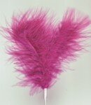 Fluffy Feather 2
