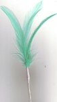 Feather 3