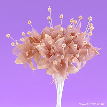 Mink Coloured Pearled Baby's Breath Flower  Button Hole. - Click to Enlarge