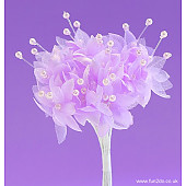 Lilac ColouredPearled Baby's Breath Flower  Button Hole.